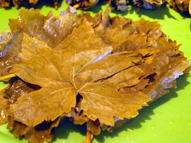 Ako spracovať listy viniča - obrázok 2