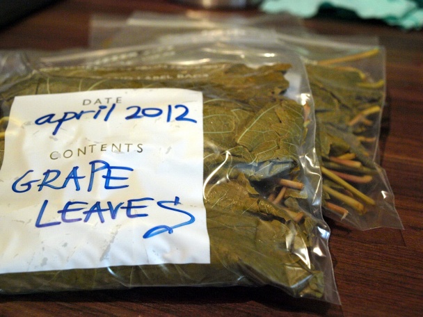 Ako spracovať listy viniča - obrázok 3