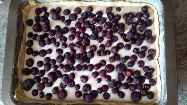 Tvarohový koláč s čučoriedkami (fotorecept) - obrázok 2