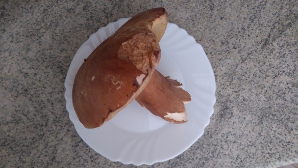 Praženica so slaninou a s čerstvými hubami (fotorecept) - obrázok 1