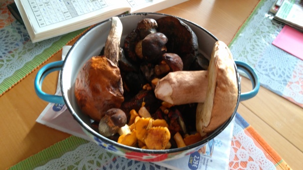 Zeleninové rizoto s čerstvými hubami (fotorecept) - obrázok 1