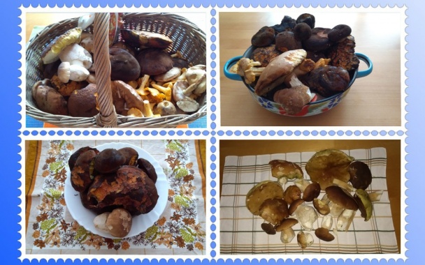 Sušené  huby do zásoby (fotorecept)    - obrázok 2