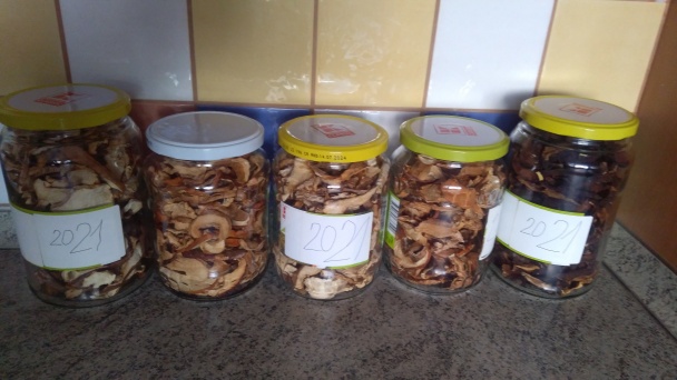 Sušené  huby do zásoby (fotorecept)    - obrázok 4