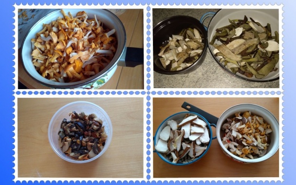 Sušené  huby do zásoby (fotorecept)    - obrázok 5