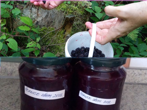 Černicový koláč na lyžice (fotorecept) - obrázok 1