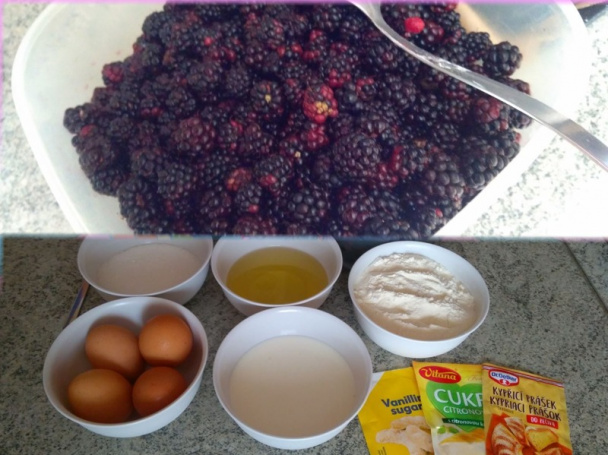 Černicový koláč na lyžice (fotorecept) - obrázok 2