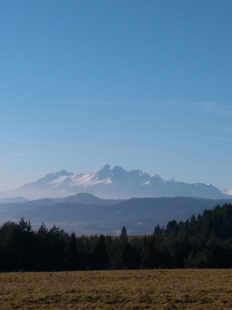 Jednoduchý jablčník - obrázok 5