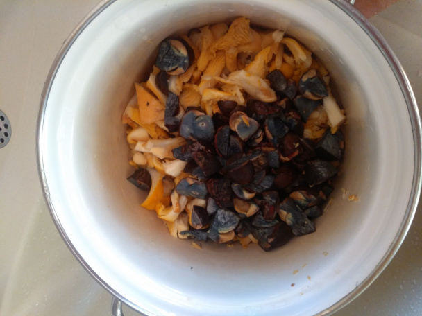 Polievka z čerstvých modrákov a kuriatok – východniarska kulajda  - obrázok 3