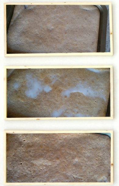 Orechovo-čokoládová fantázia (fotorecept) - obrázok 5