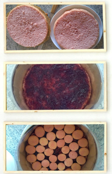 Ružová dáma (fotorecept) - obrázok 3