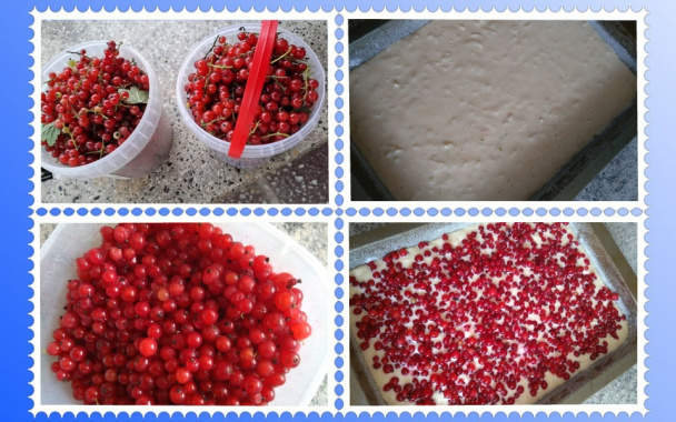 Červenoríbezľový koláč (fotorecept) - obrázok 2