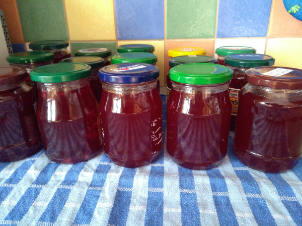 Červenoríbezľový koláč (fotorecept) - obrázok 5