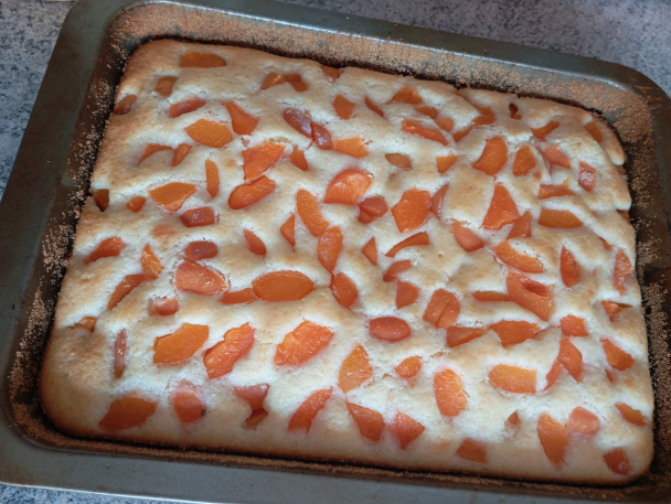 Kokosová bublanina s marhuľami - obrázok 3