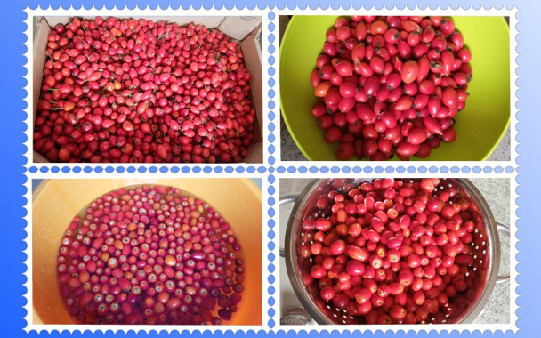 Domáci lekvár zo šípok (sverbovuzy) (fotorecept) - obrázok 1