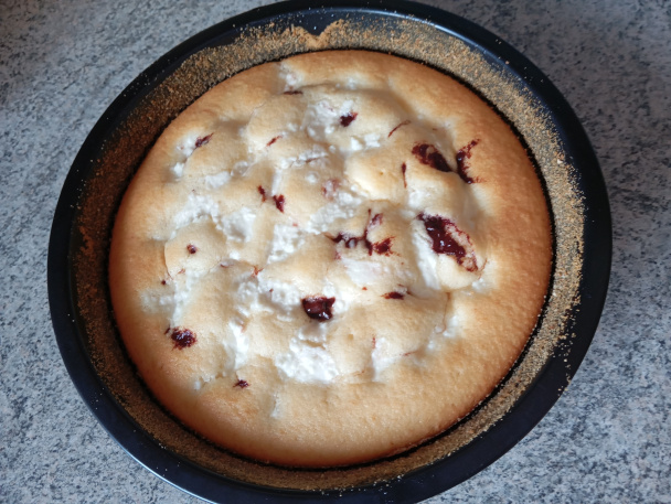 Gavalierik malý - obrázok 3