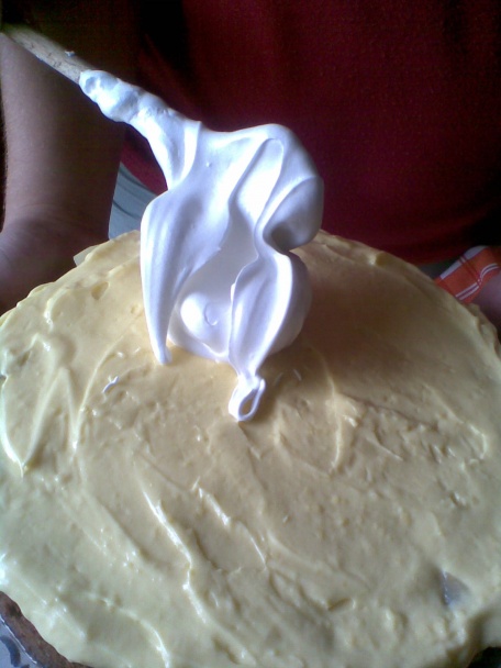 Narodeninová špecialita - torta (fotorecept) - obrázok 5