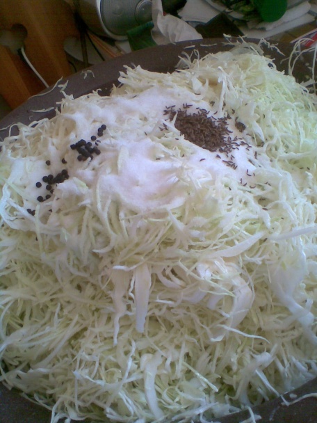 Sudová kapusta - obrázok 2