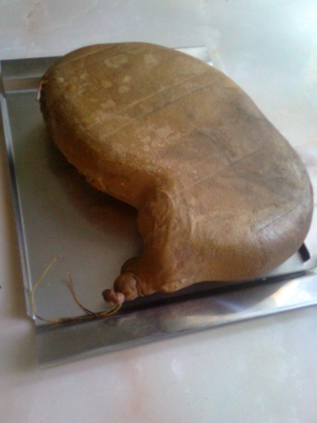 Domáca bravčová tlačenka (fotorecept) - obrázok 7