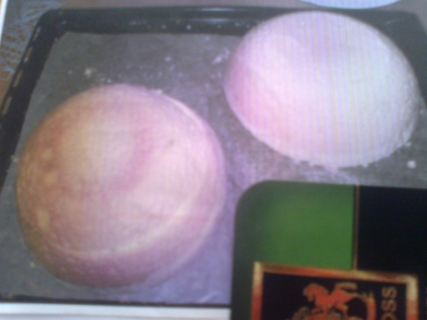 Futbalová lopta - Bezlepková - obrázok 3