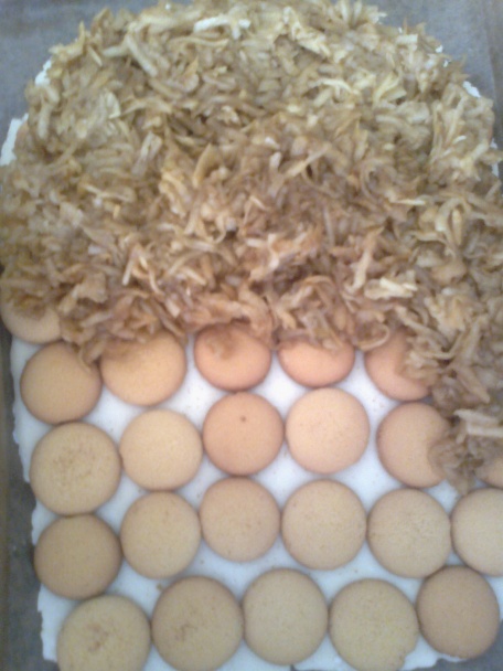 Jabĺkový krémeš - bezlepkový   - obrázok 2