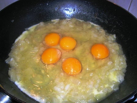 Mechelebe (fotorecept) - obrázok 4