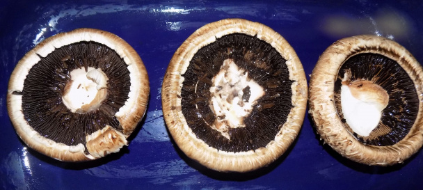 Plnené šampiňóny portobello (fotorecept) - obrázok 1