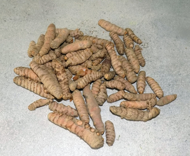 Baklažánový pekáč s tarhoňou (fotorecept) - obrázok 1