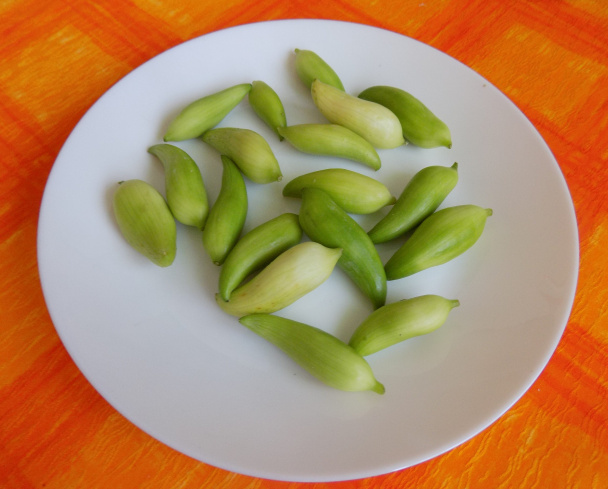 Lečo s ačokčou (fotorecept) - obrázok 1