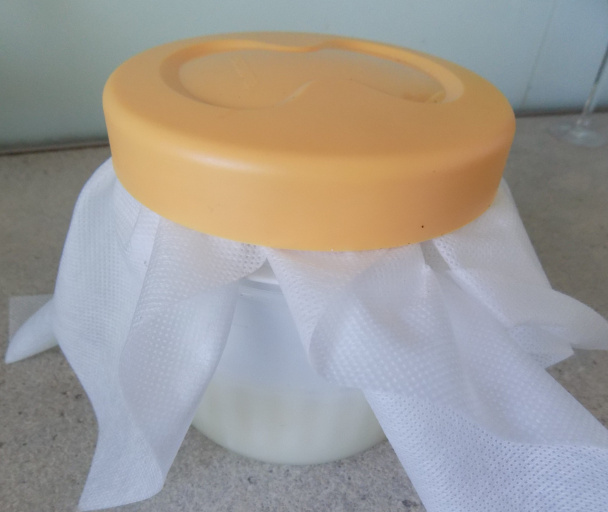 Domáci syr (fotorecept) - obrázok 4