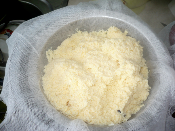 Syrek na Veľkú noc zo Šariša (fotorecept) - obrázok 4