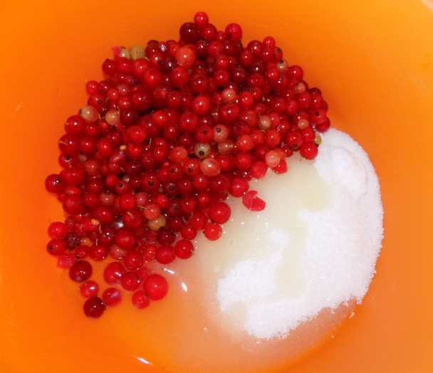 Ríbezľová pena (fotorecept) - obrázok 1