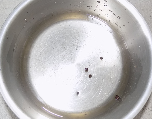 Vajcia nakladané v octe (fotorecept) - obrázok 4