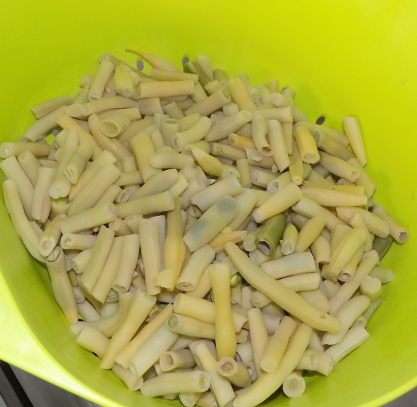 Fazuľkový nákyp (fotorecept) - obrázok 1