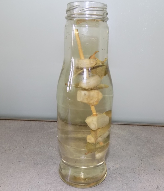 Ocot s cesnakom a bobkovým listom (fotorecept) - obrázok 5