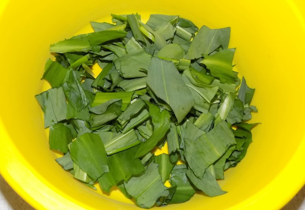 Paradajkový šalát s medvedím cesnakom (fotorecept) - obrázok 1