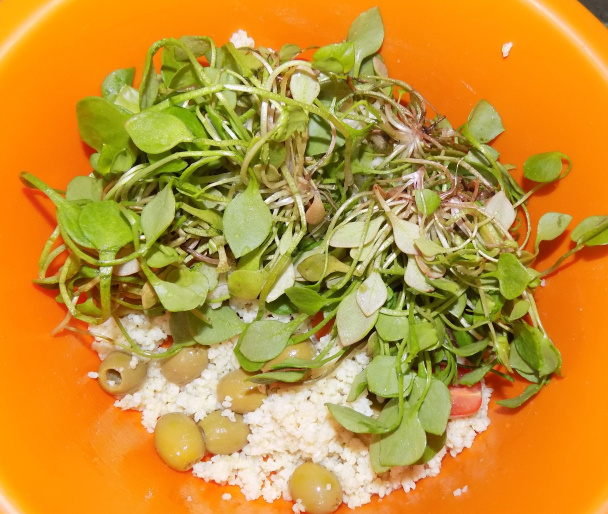 Pšenový šalát s portulákom zimným (fotorecept) - obrázok 3