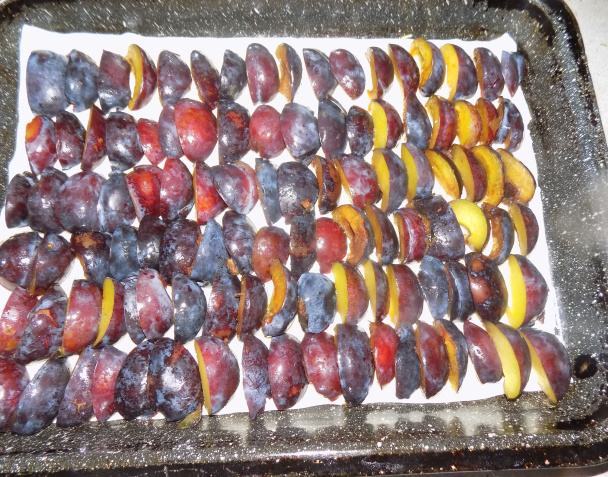 Slivková dobrota (fotorecept) - obrázok 2