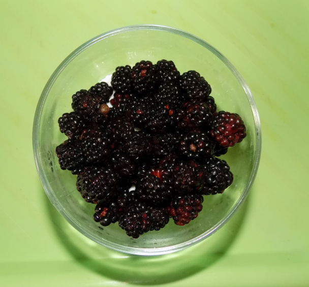 Černicový pohár (fotorecept) - obrázok 3