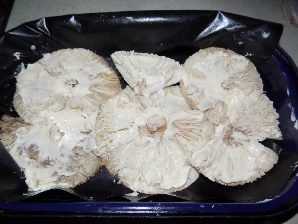 Bedľová roláda (fotorecept) - obrázok 2