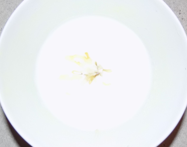 Vločkové  „tiramisu“ (fotorecept) - obrázok 2