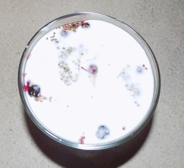 Vločkové  „tiramisu“ (fotorecept) - obrázok 7