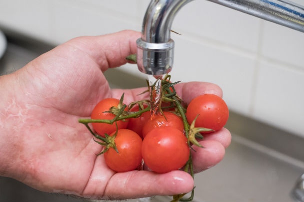 Trojfarebné ihly (fotorecept) - obrázok 1