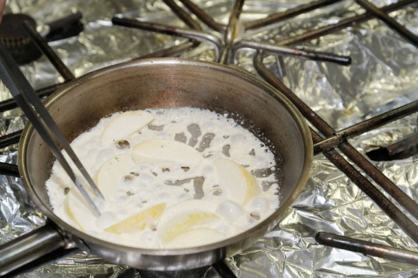 Kačacie prsia v omáčke z calvadosu (fotorecept) - obrázok 4