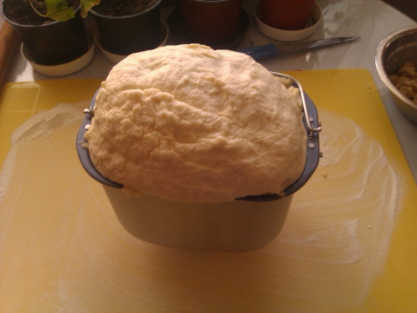 Babičkin orechovník  - obrázok 2