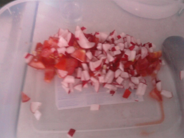 Zeleninový šalát trochu inak - obrázok 1