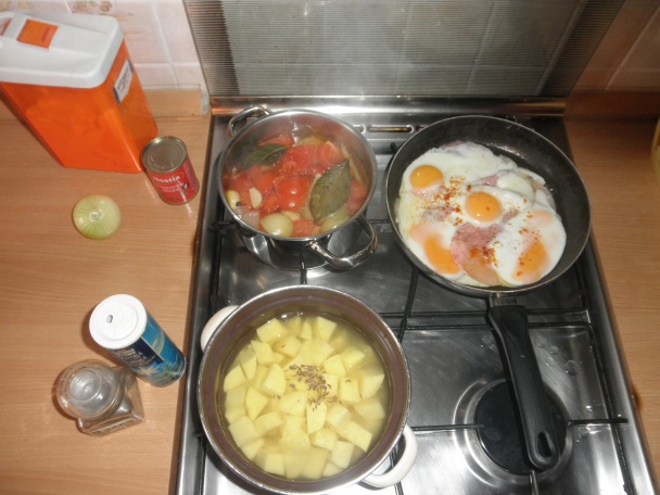 Pangasius v Červenom mori - obrázok 2