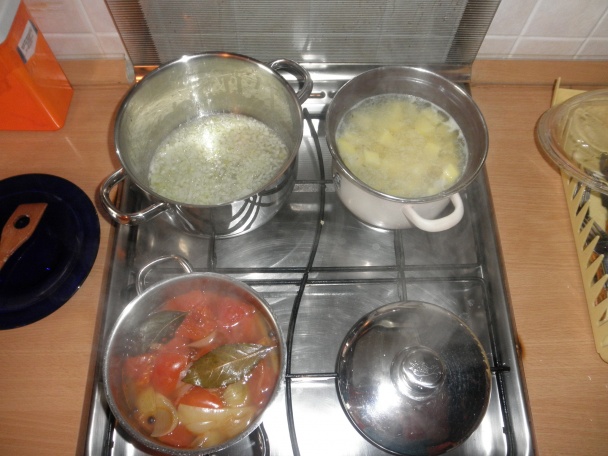 Pangasius v Červenom mori - obrázok 3