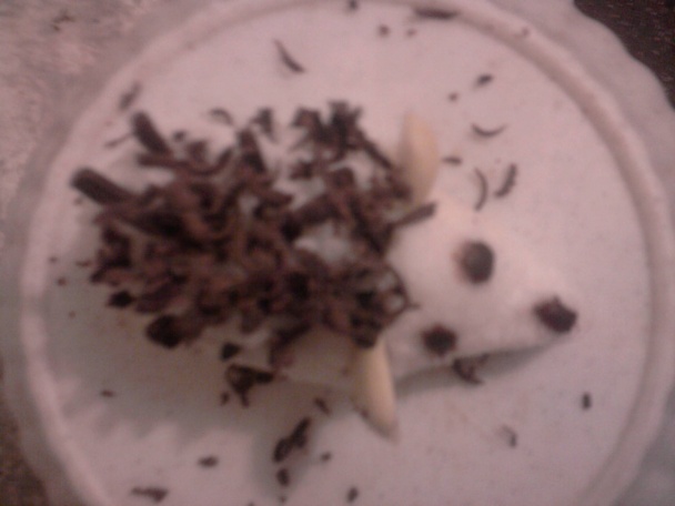 Mišky (fotorecept) - obrázok 7