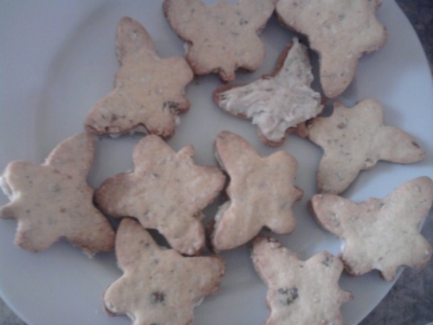 Bezlepkové motýle (fotorecept) - obrázok 4