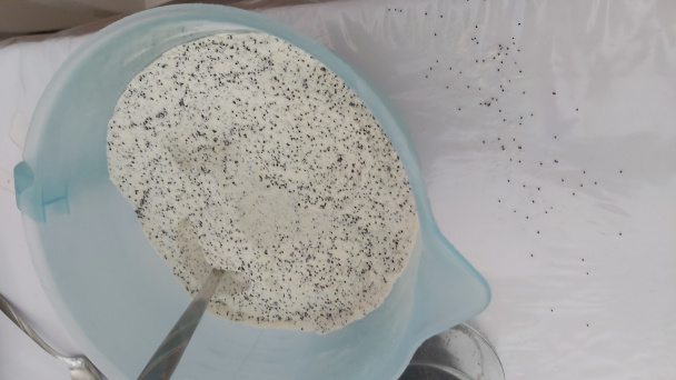 Rýchly makovec (fotorecept) - obrázok 1